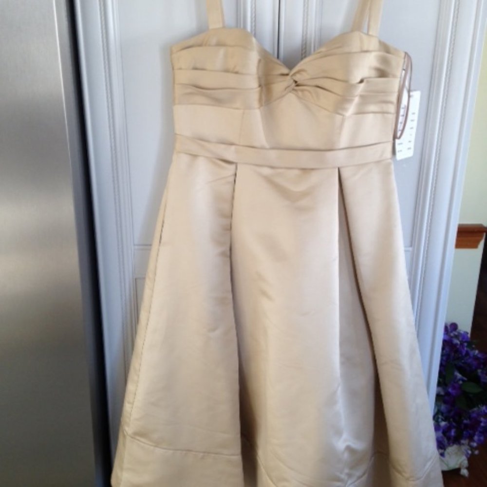 Oyster Beige Satin evening Dress Size 14